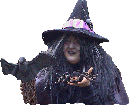 Straszna czarownica z pająkiem